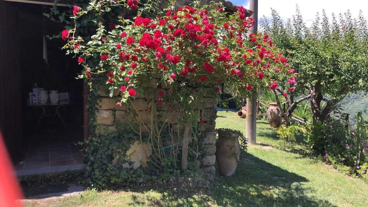 Ficarra San Noto Antica Residenza Di Caccia Bed & Breakfast イタリア