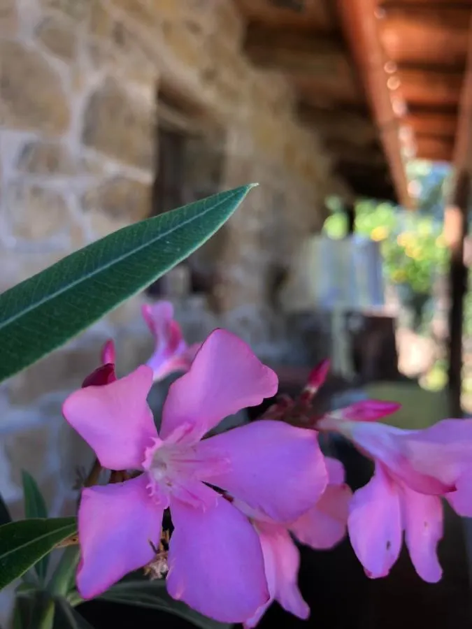 San Noto Antica Residenza Di Caccia Bed & Breakfast Ficarra